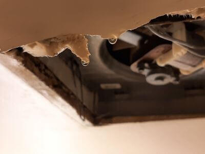 Professional water damage restoration services in Temecula